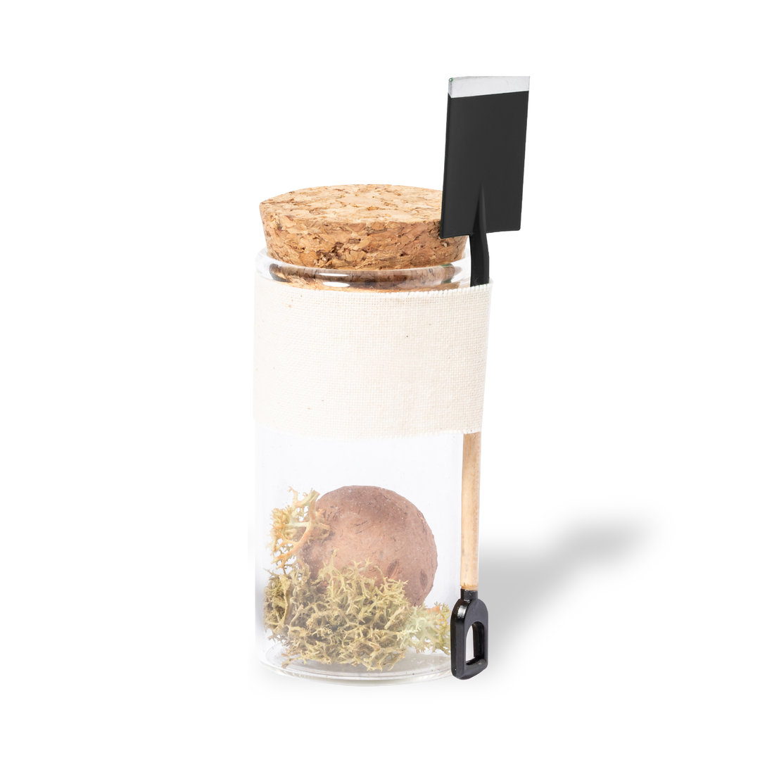 Bombón Semillas Winsu - Imagen 7