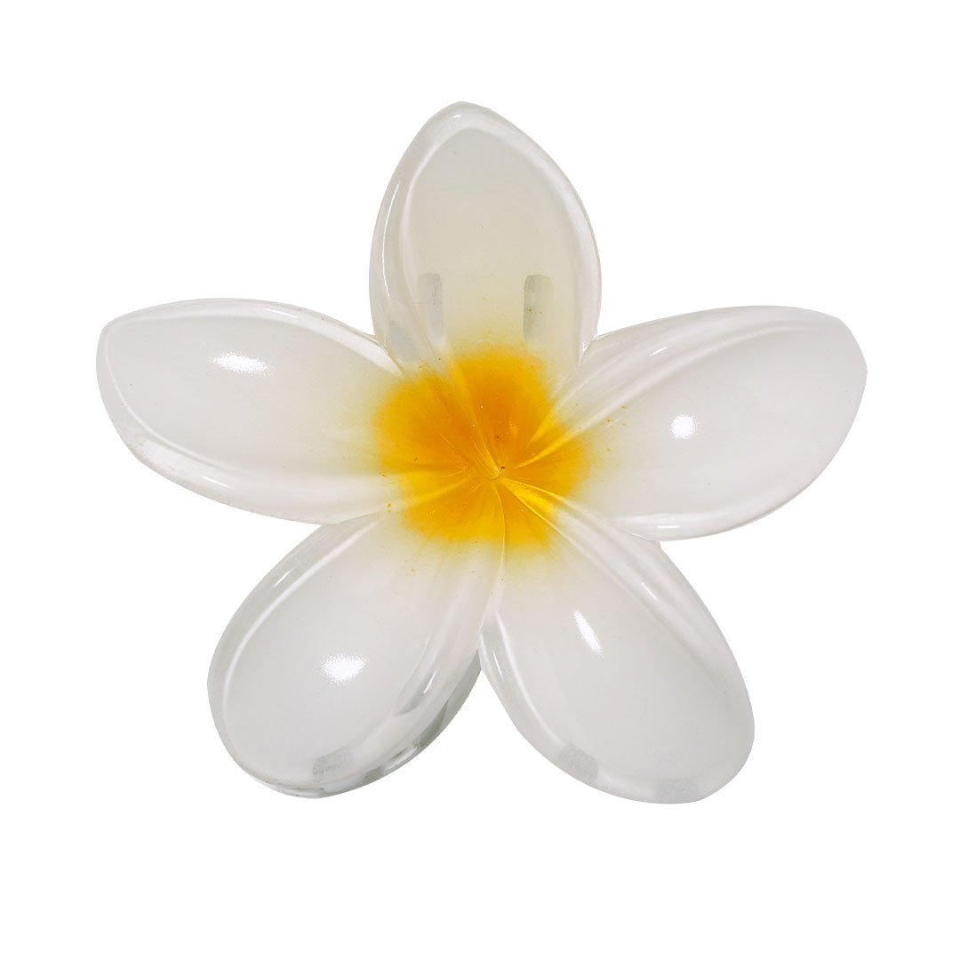 Pinza Tixcon - Imagen 5