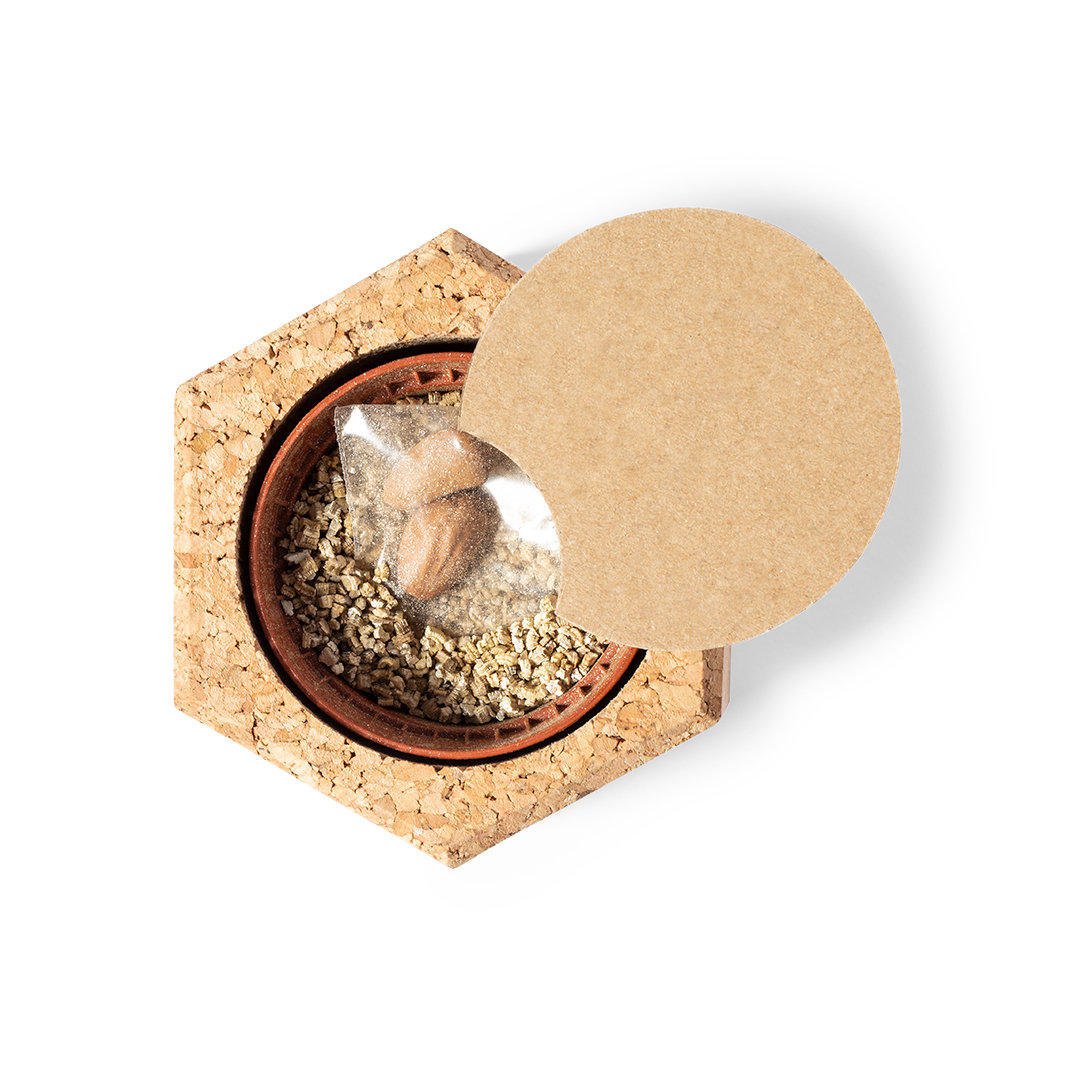 Maceta Gulytel - Imagen 3