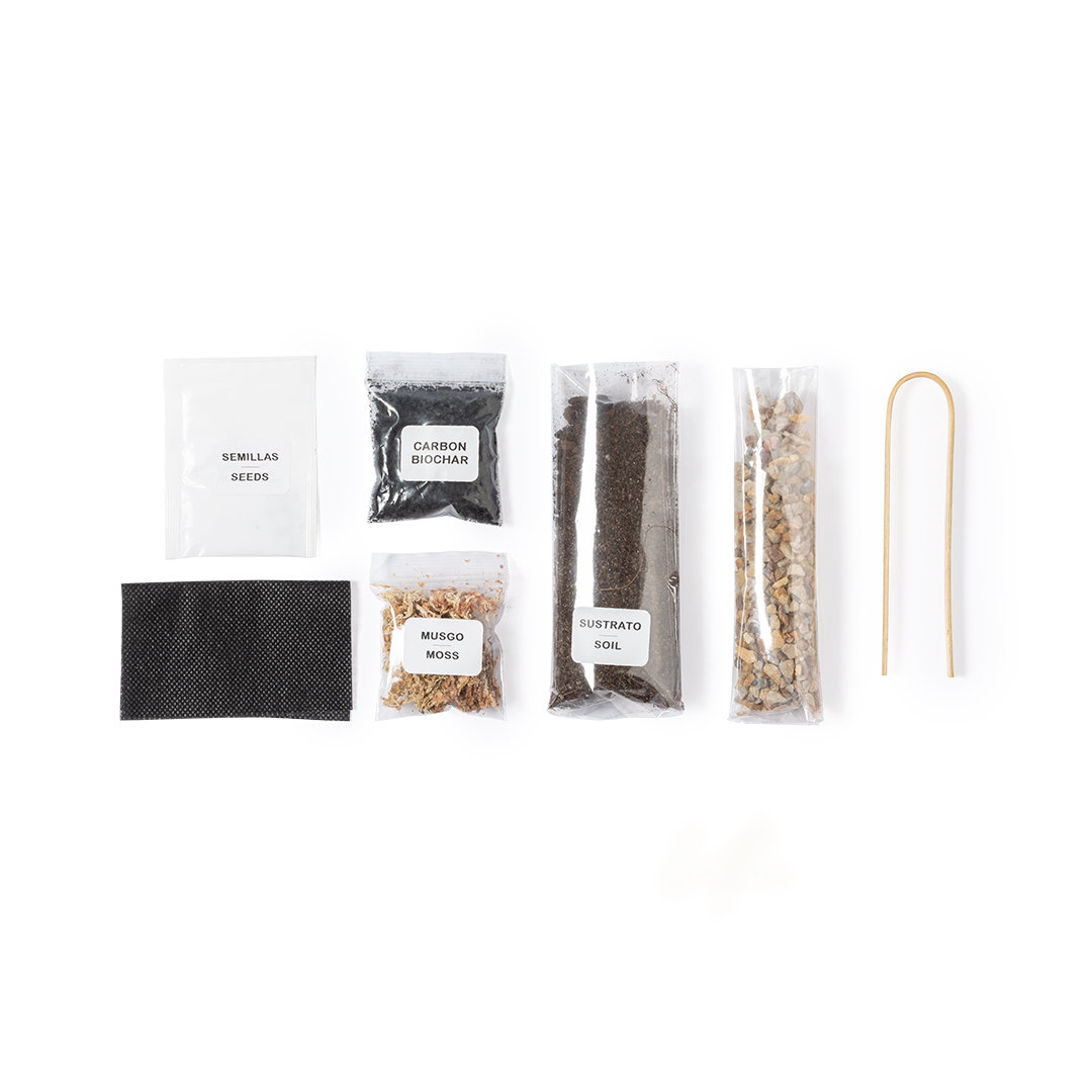 Terrarium Anymak - Imagen 3